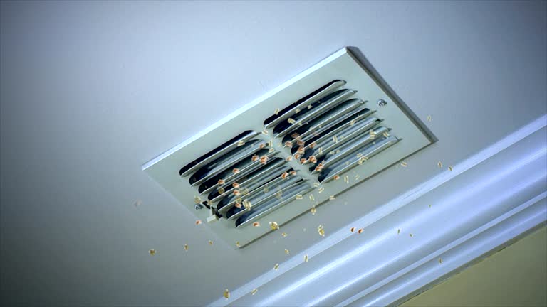 Best Air Duct Cleaning Near Me  in Floresville, TX